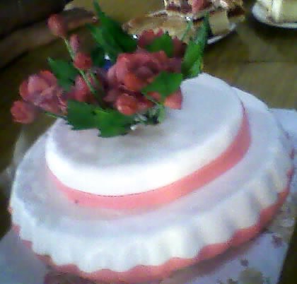 rosas en porcelana